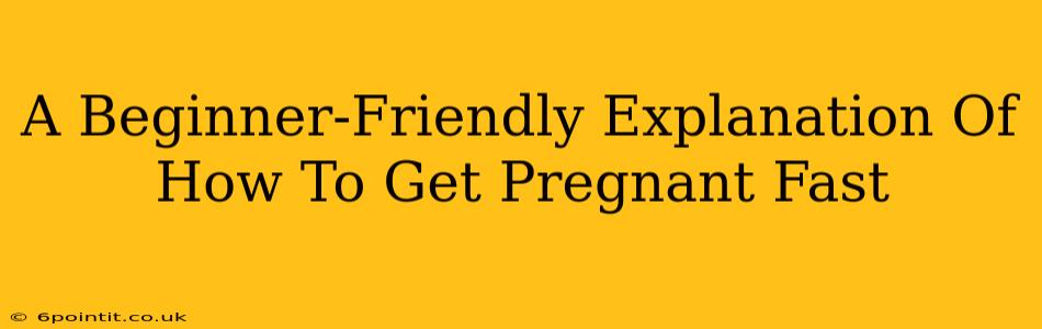 A Beginner-Friendly Explanation Of How To Get Pregnant Fast