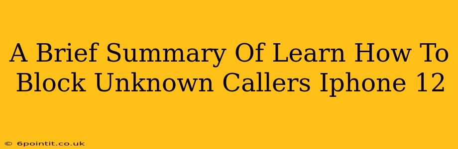 A Brief Summary Of Learn How To Block Unknown Callers Iphone 12