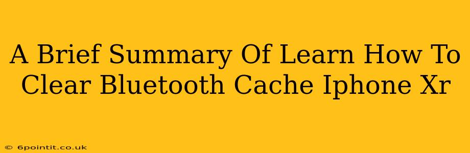 A Brief Summary Of Learn How To Clear Bluetooth Cache Iphone Xr