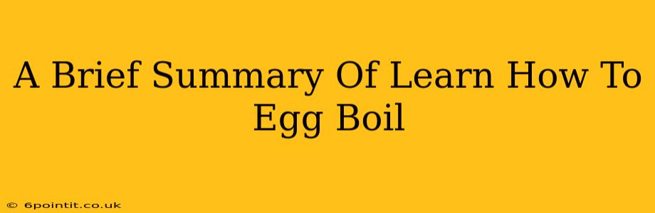 A Brief Summary Of Learn How To Egg Boil