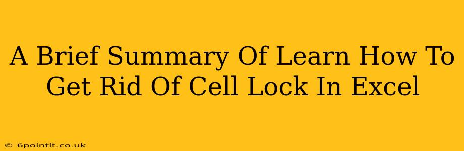 A Brief Summary Of Learn How To Get Rid Of Cell Lock In Excel