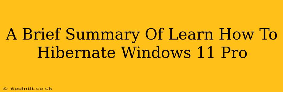 A Brief Summary Of Learn How To Hibernate Windows 11 Pro