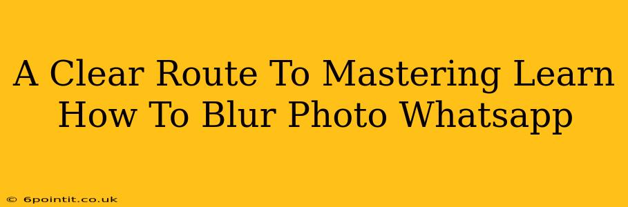 A Clear Route To Mastering Learn How To Blur Photo Whatsapp