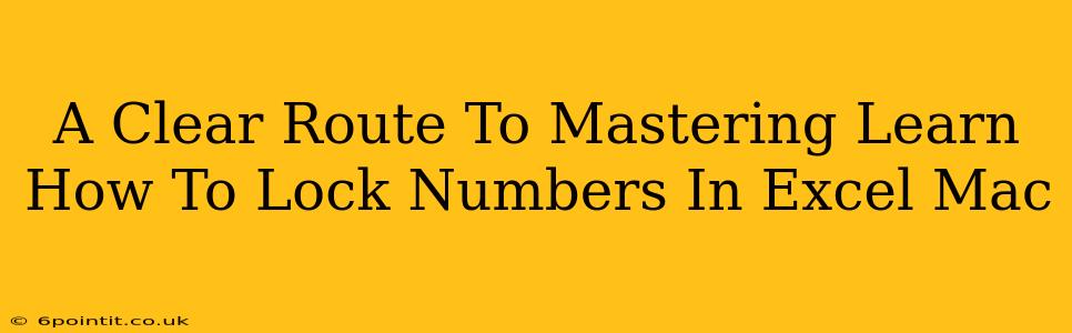 A Clear Route To Mastering Learn How To Lock Numbers In Excel Mac