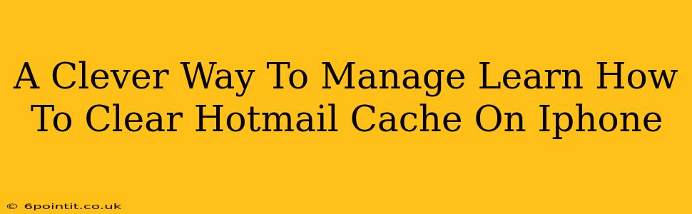 A Clever Way To Manage Learn How To Clear Hotmail Cache On Iphone