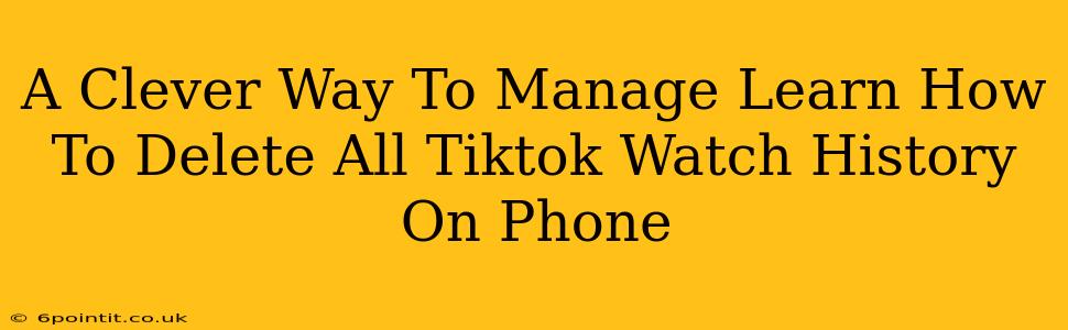 A Clever Way To Manage Learn How To Delete All Tiktok Watch History On Phone