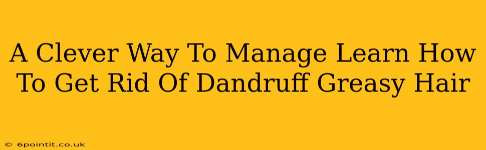 A Clever Way To Manage Learn How To Get Rid Of Dandruff Greasy Hair