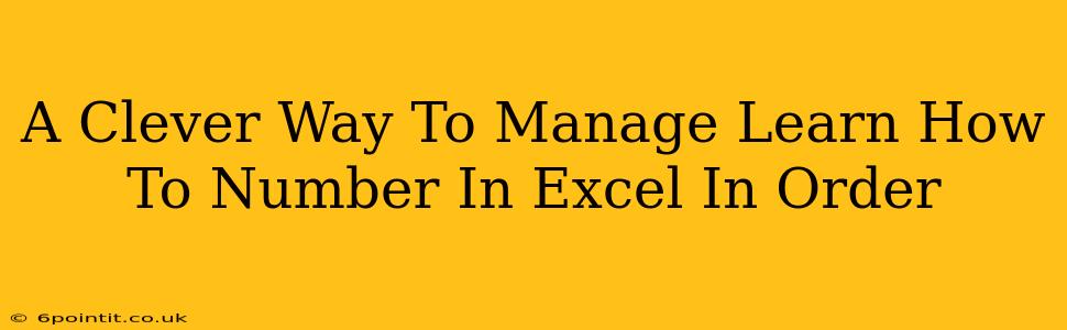 A Clever Way To Manage Learn How To Number In Excel In Order