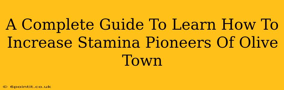 A Complete Guide To Learn How To Increase Stamina Pioneers Of Olive Town