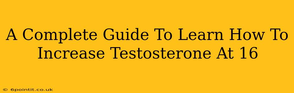 A Complete Guide To Learn How To Increase Testosterone At 16