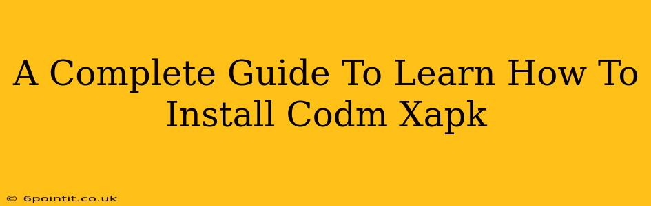 A Complete Guide To Learn How To Install Codm Xapk