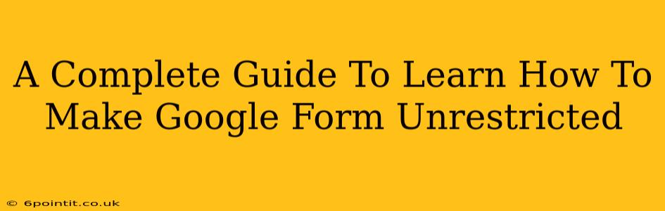 A Complete Guide To Learn How To Make Google Form Unrestricted