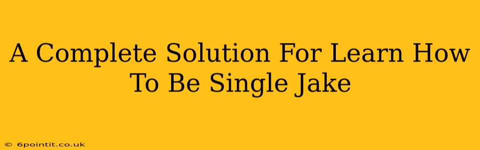 A Complete Solution For Learn How To Be Single Jake