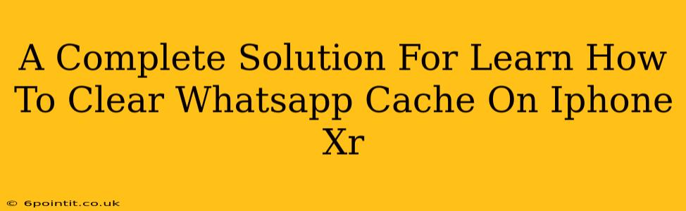 A Complete Solution For Learn How To Clear Whatsapp Cache On Iphone Xr