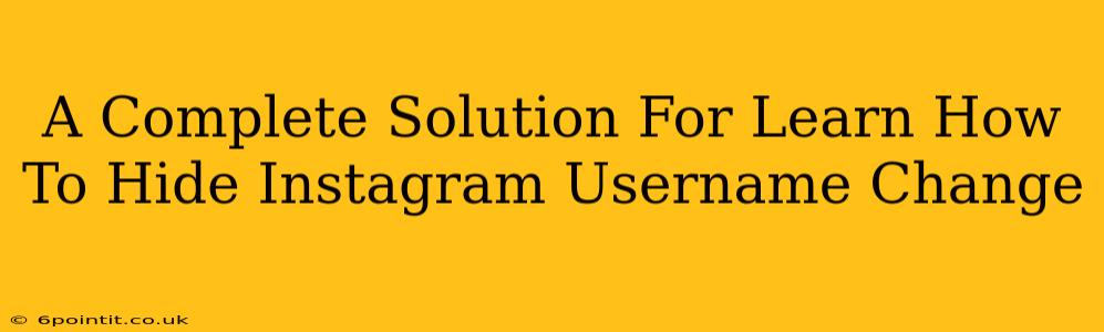 A Complete Solution For Learn How To Hide Instagram Username Change