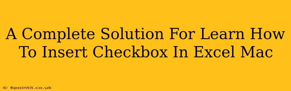 A Complete Solution For Learn How To Insert Checkbox In Excel Mac