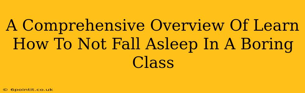 A Comprehensive Overview Of Learn How To Not Fall Asleep In A Boring Class