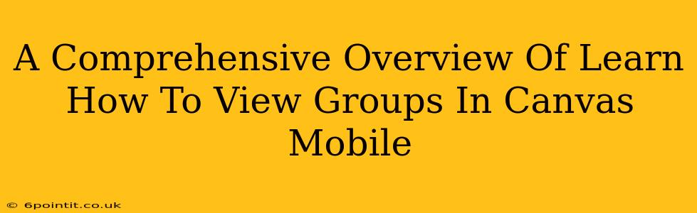 A Comprehensive Overview Of Learn How To View Groups In Canvas Mobile