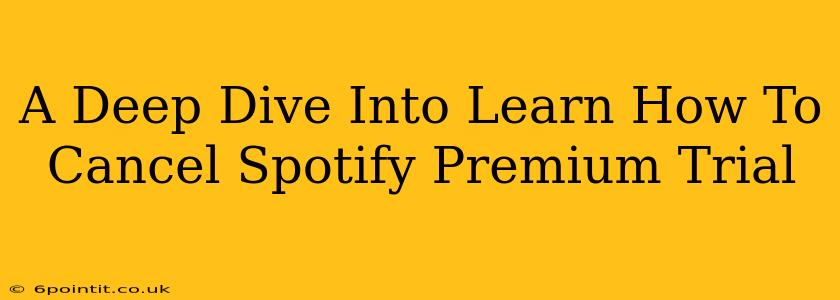 A Deep Dive Into Learn How To Cancel Spotify Premium Trial