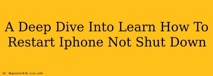 A Deep Dive Into Learn How To Restart Iphone Not Shut Down