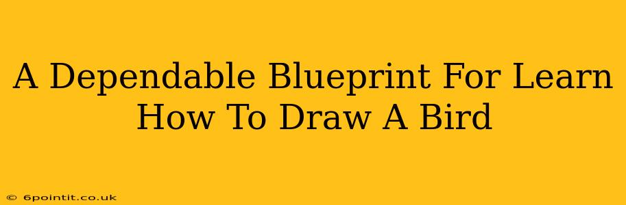 A Dependable Blueprint For Learn How To Draw A Bird