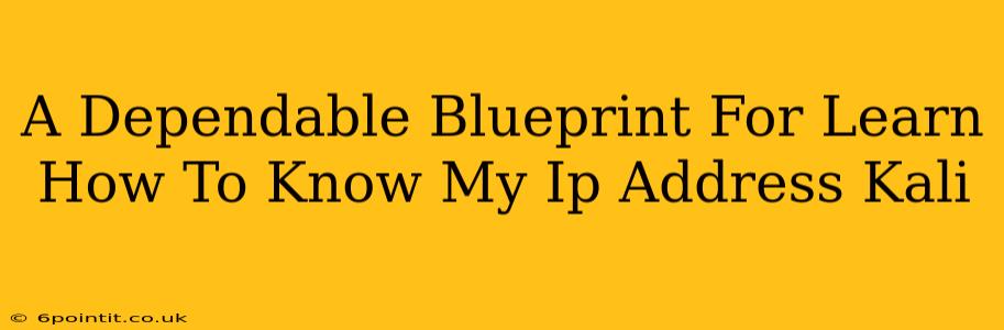 A Dependable Blueprint For Learn How To Know My Ip Address Kali