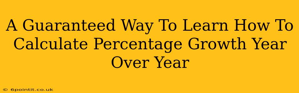 A Guaranteed Way To Learn How To Calculate Percentage Growth Year Over Year