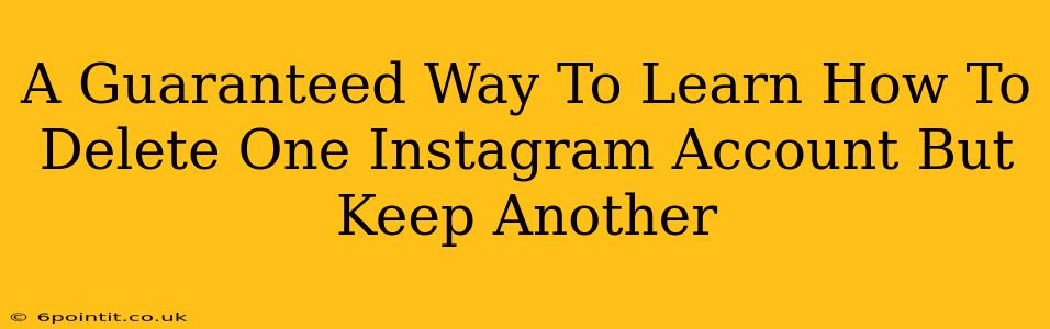 A Guaranteed Way To Learn How To Delete One Instagram Account But Keep Another