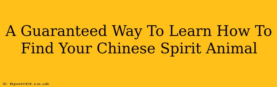 A Guaranteed Way To Learn How To Find Your Chinese Spirit Animal