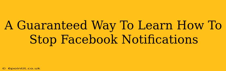 A Guaranteed Way To Learn How To Stop Facebook Notifications