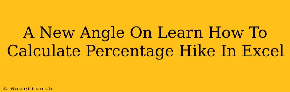 A New Angle On Learn How To Calculate Percentage Hike In Excel