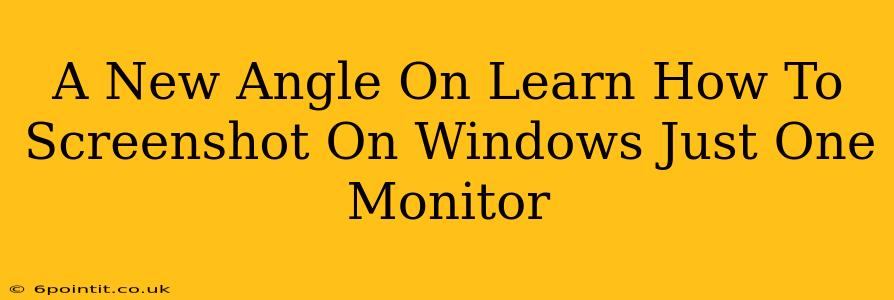 A New Angle On Learn How To Screenshot On Windows Just One Monitor