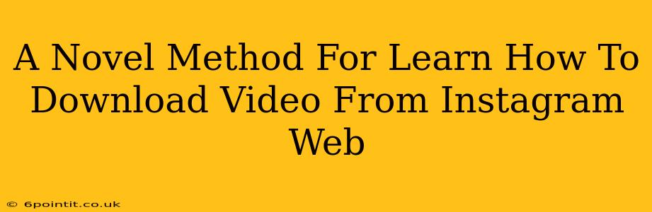 A Novel Method For Learn How To Download Video From Instagram Web