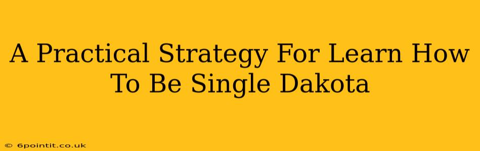 A Practical Strategy For Learn How To Be Single Dakota