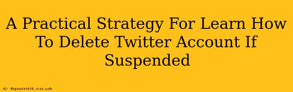 A Practical Strategy For Learn How To Delete Twitter Account If Suspended