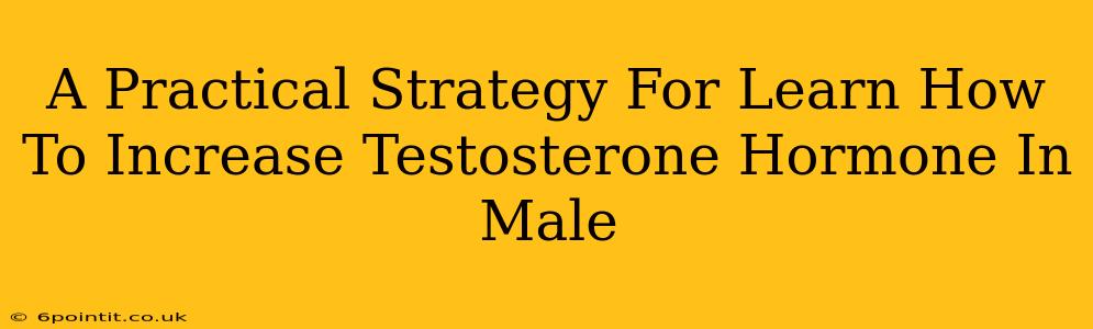 A Practical Strategy For Learn How To Increase Testosterone Hormone In Male