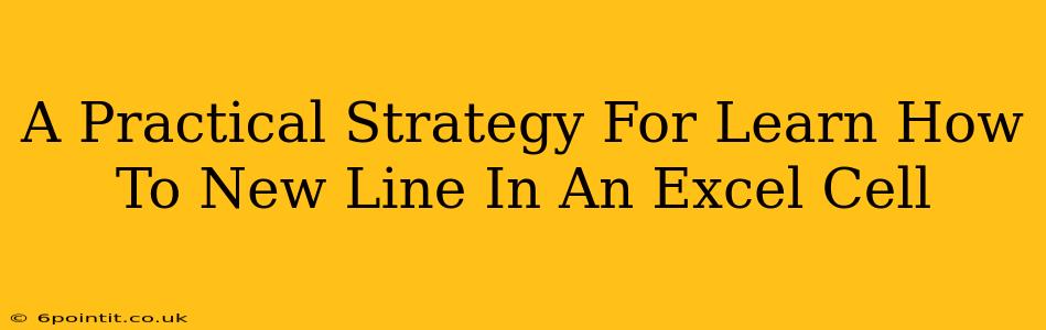 A Practical Strategy For Learn How To New Line In An Excel Cell