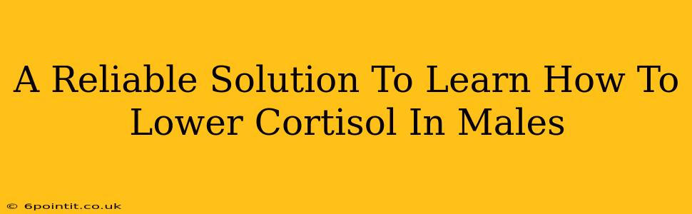 A Reliable Solution To Learn How To Lower Cortisol In Males