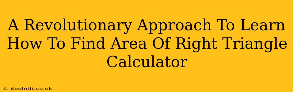 A Revolutionary Approach To Learn How To Find Area Of Right Triangle Calculator