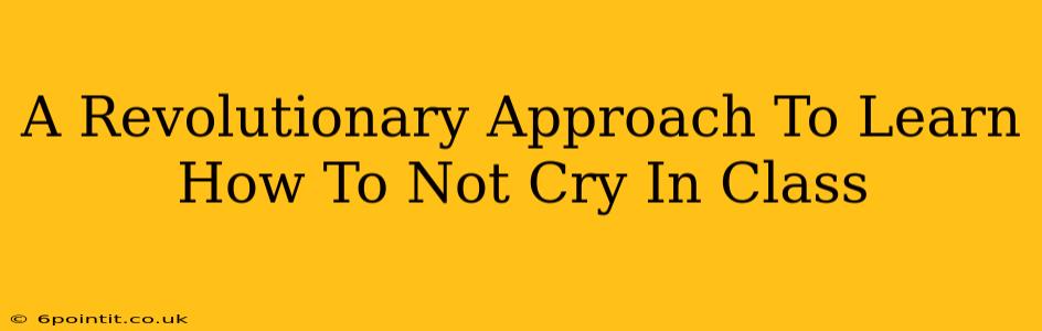 A Revolutionary Approach To Learn How To Not Cry In Class