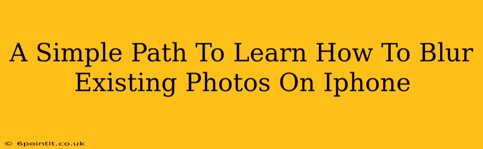 A Simple Path To Learn How To Blur Existing Photos On Iphone