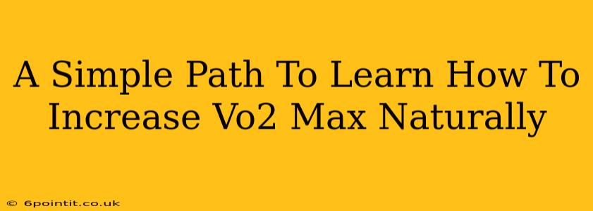 A Simple Path To Learn How To Increase Vo2 Max Naturally