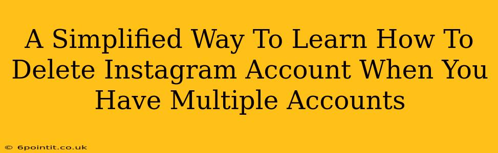 A Simplified Way To Learn How To Delete Instagram Account When You Have Multiple Accounts