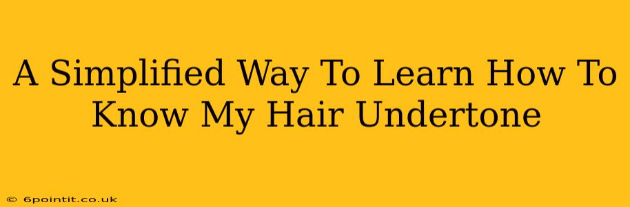 A Simplified Way To Learn How To Know My Hair Undertone