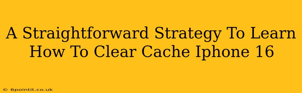 A Straightforward Strategy To Learn How To Clear Cache Iphone 16