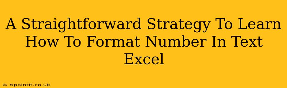 A Straightforward Strategy To Learn How To Format Number In Text Excel