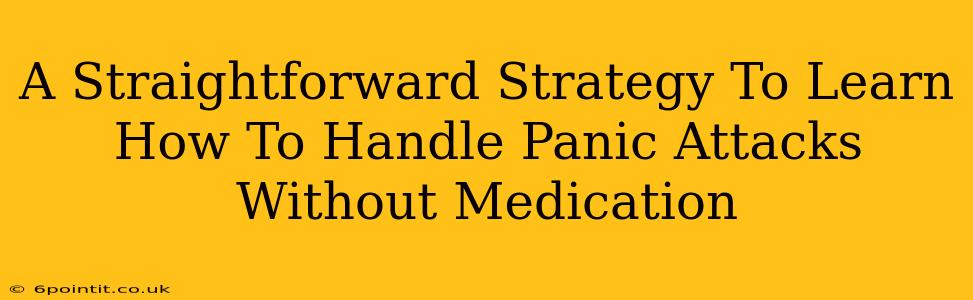 A Straightforward Strategy To Learn How To Handle Panic Attacks Without Medication