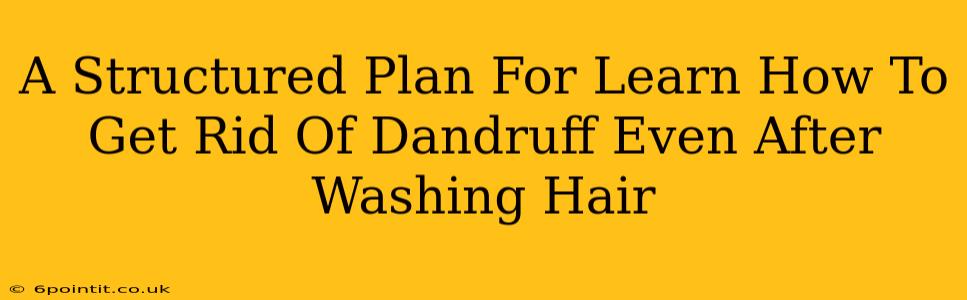 A Structured Plan For Learn How To Get Rid Of Dandruff Even After Washing Hair