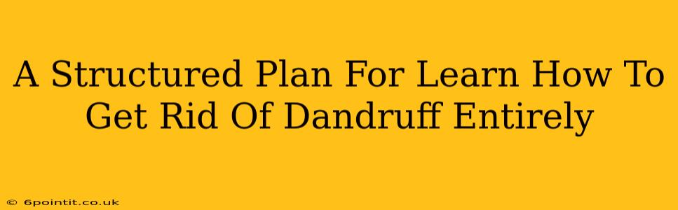 A Structured Plan For Learn How To Get Rid Of Dandruff Entirely