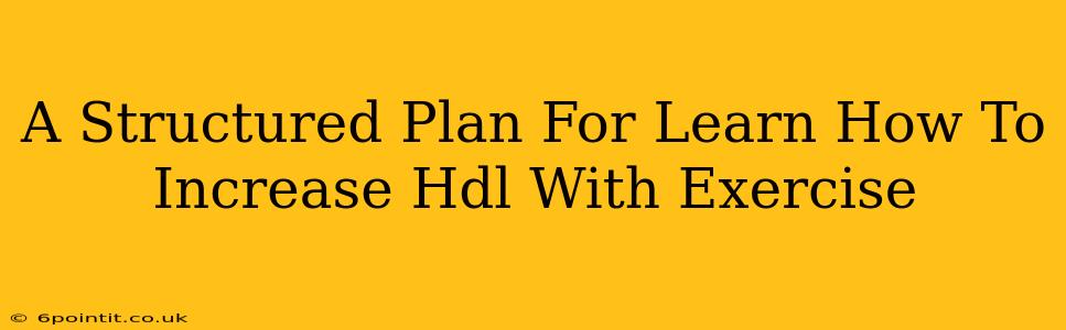 A Structured Plan For Learn How To Increase Hdl With Exercise